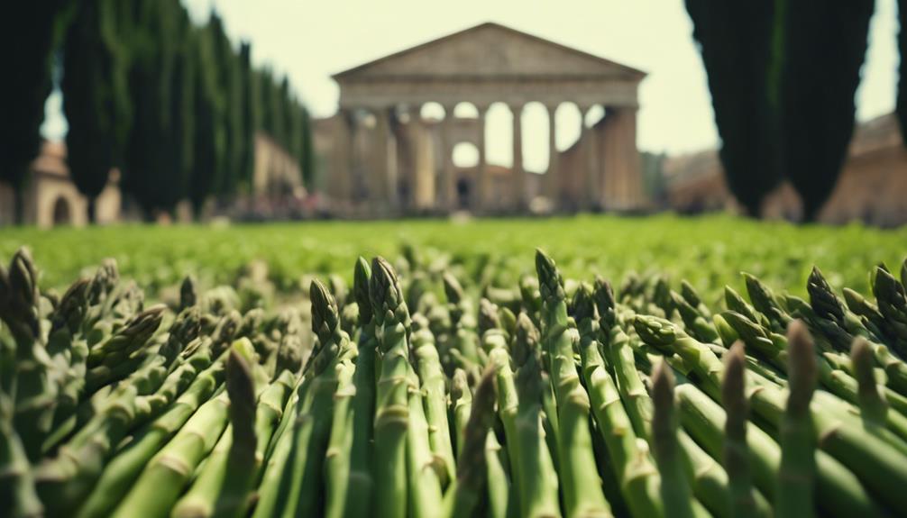 ancient rome s asparagus tradition