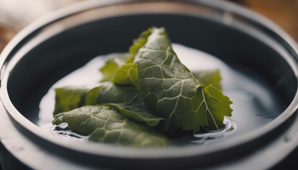 delicious stuffed grape leaves