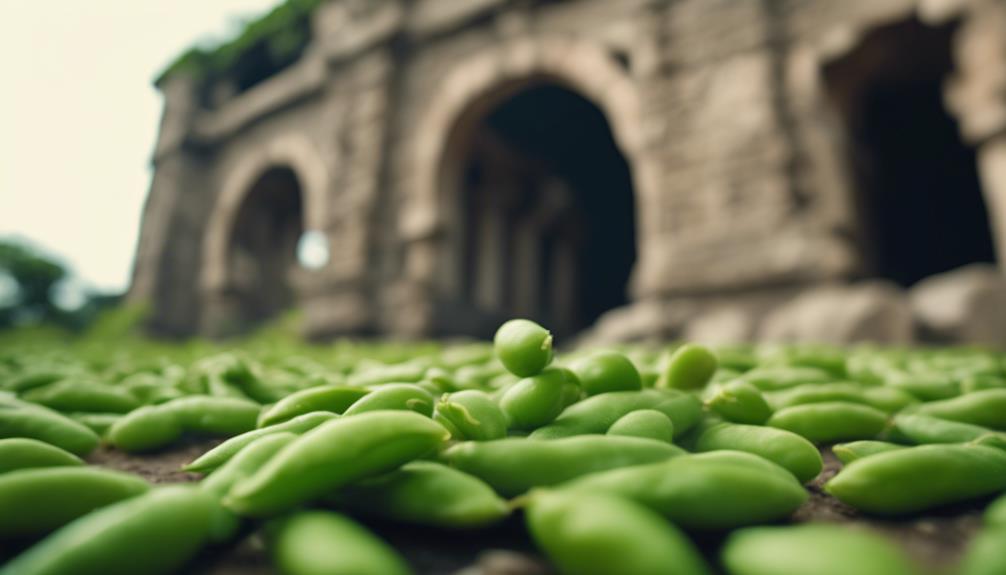 edamame s time travel adventure