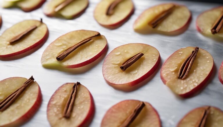 Sous Vide Apple Chips With Cinnamon for Kapha