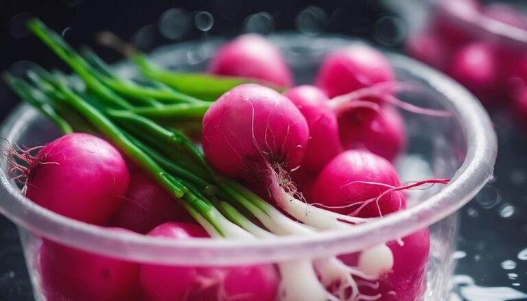 Local Radish and Green Onion Dip Sous Vide