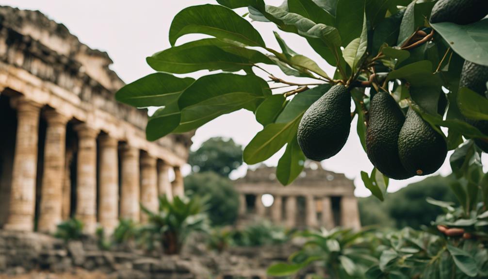 ancient roots of avocados