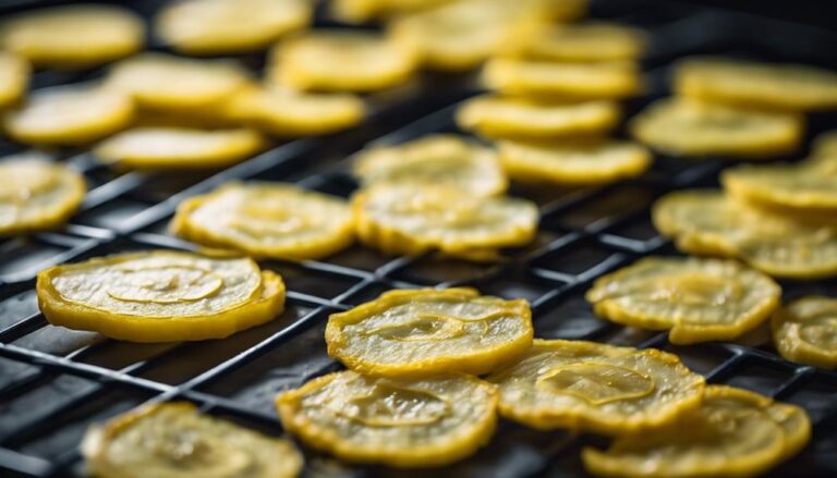 Sous Vide Yellow Squash Chips for a 7-Day Color Diet Snack