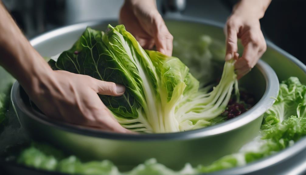 delicious cabbage roll recipes