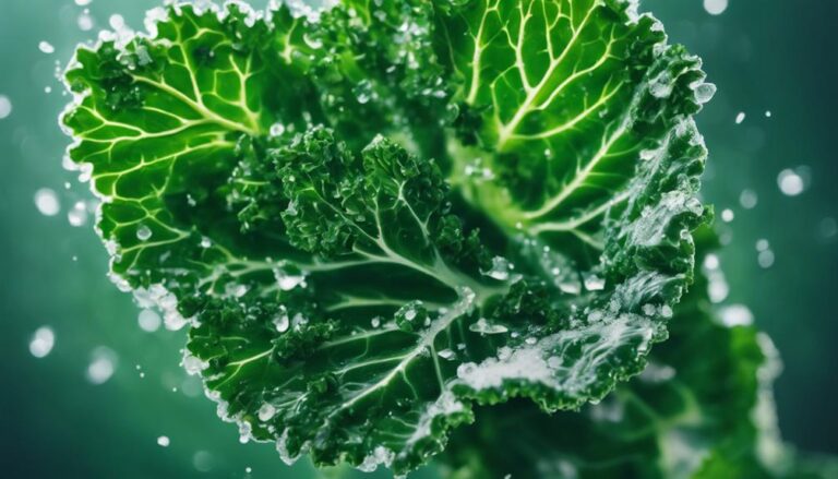 Snack Sous Vide Kale Chips With Sea Salt for the Myplate Diet